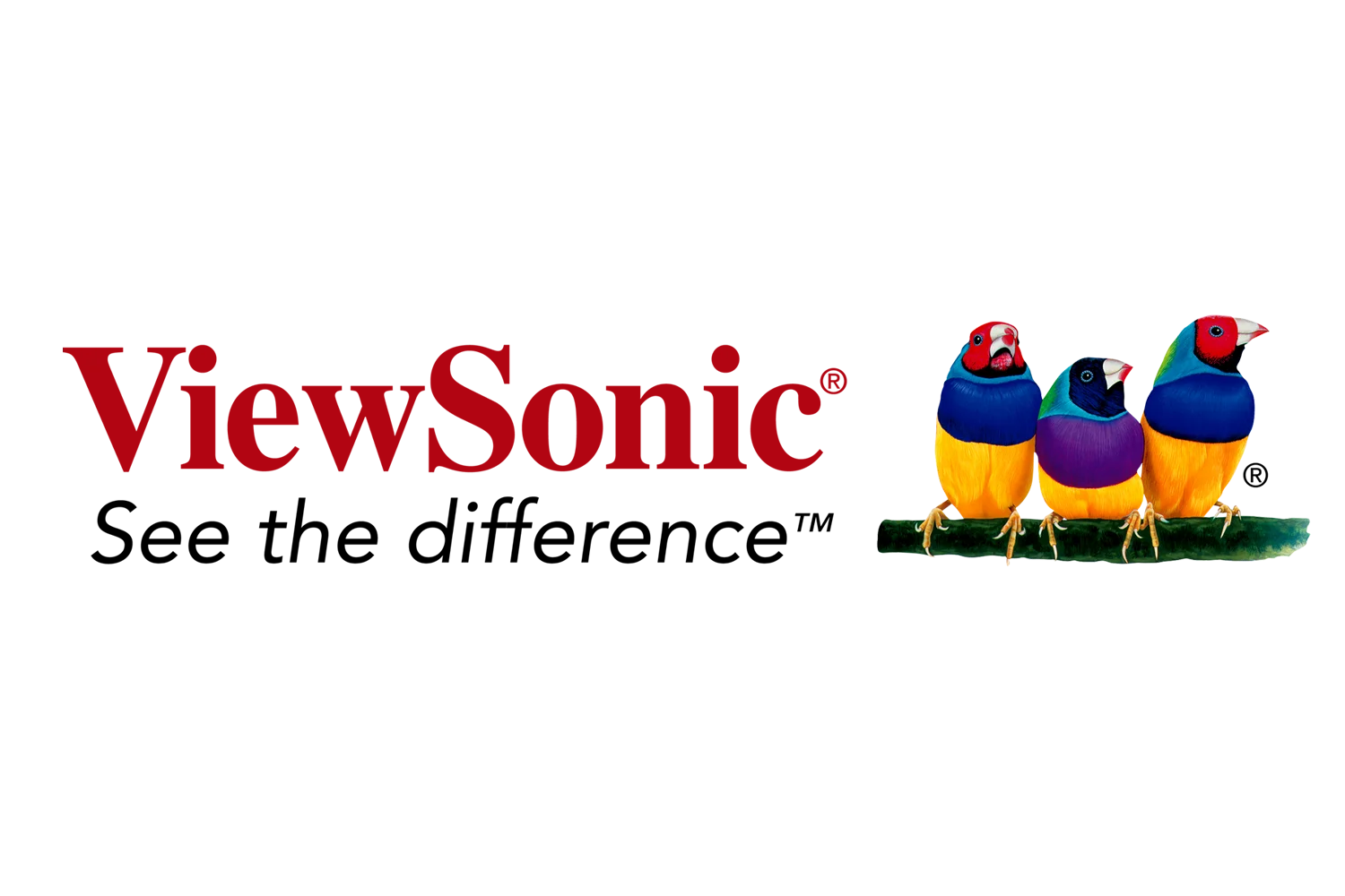 Viewsonic-1